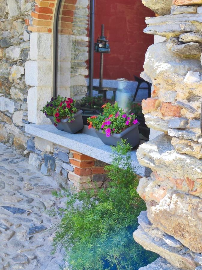 Agriturismo Il Medeghino Musso Extérieur photo